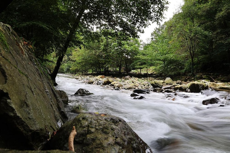 귀촌 야영장 시설 사진 3