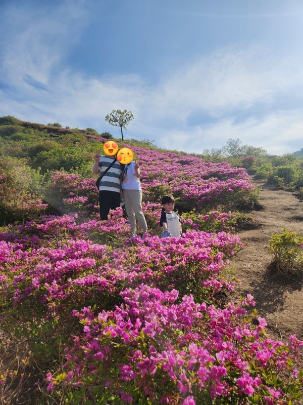 (경남 합천) 28갤 아이와 함께♡ 황매산숲속야영장 카라반