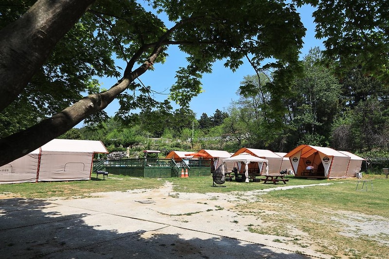 동해 주노글램핑장 시설 사진 11