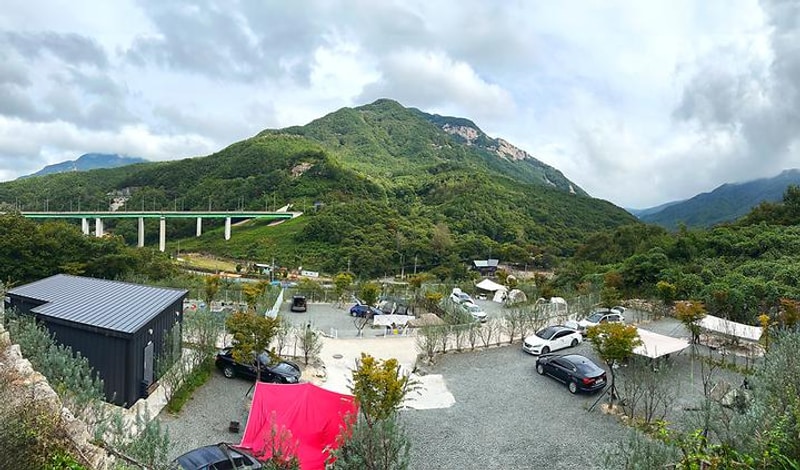 비타민 팜 오토캠핑장 대표 사진