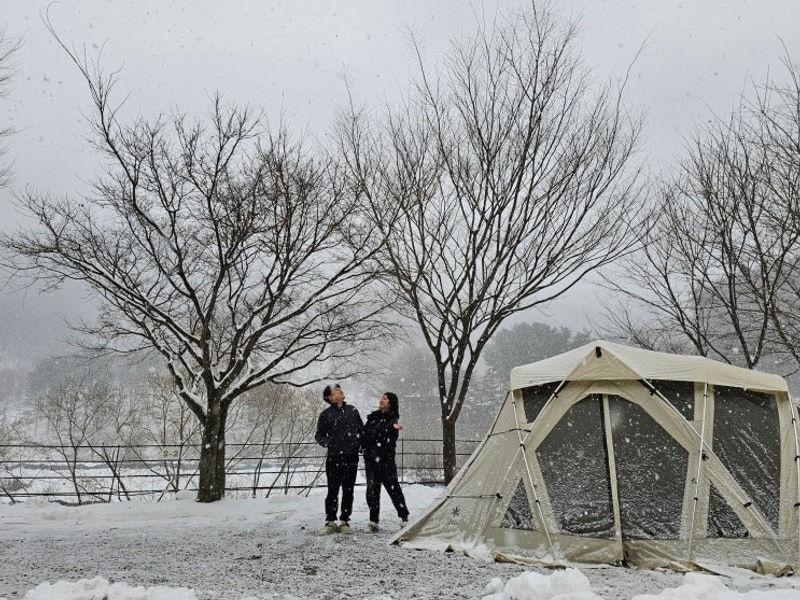 *일상* 1월 27일 ~ 2월 2일 * 설날 / 함양 캠프더포레 / 오늘도...