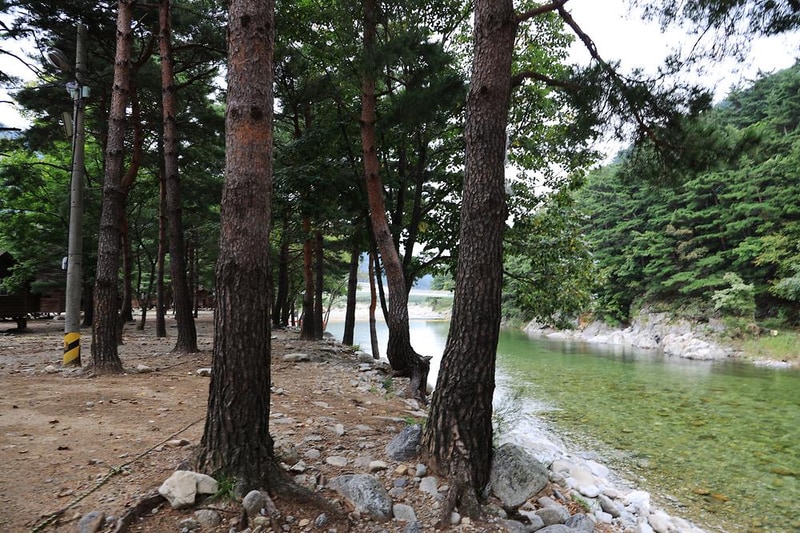 해담마을 야영장 시설 사진 10