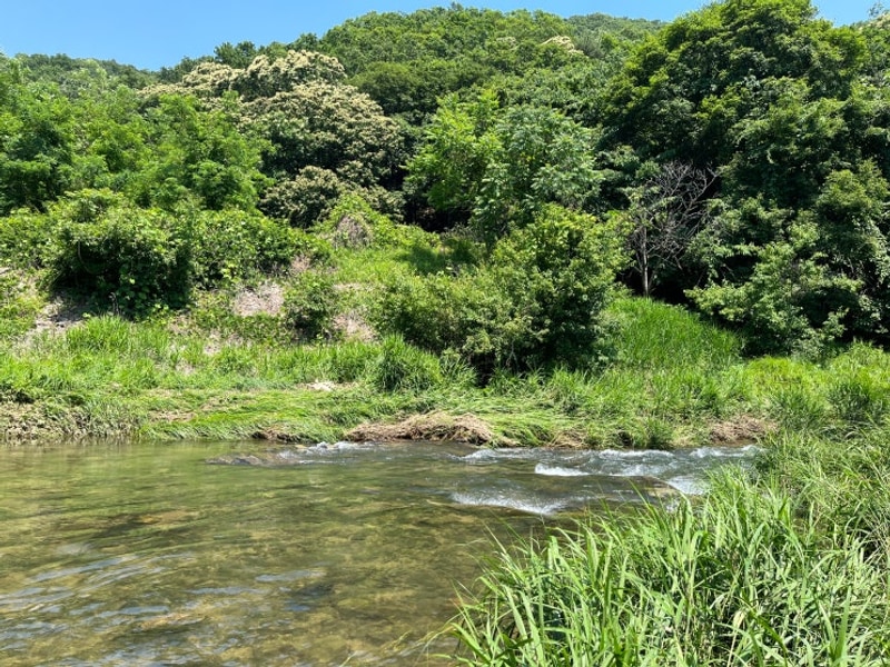 [경기 양주] 서울 근교 계곡/수영장 16시퇴실 일영모자농원캠핑장