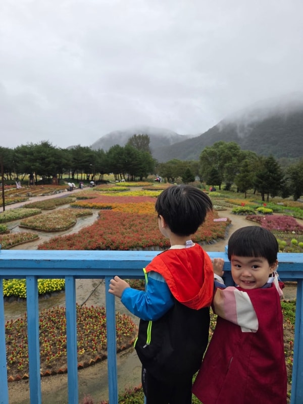 페스타/할매춘천닭갈비/자라섬캠핑장(자라섬 출렁다리)/가평...