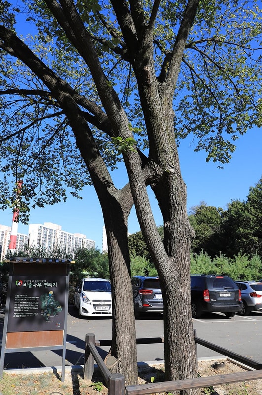 초안산캠핑장 시설 사진 36