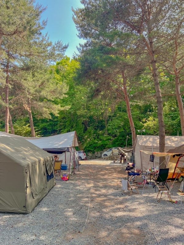 오토 캠핑장 수영장 있는 포레스트뷰 울산 울주군 더캠프 캠핑