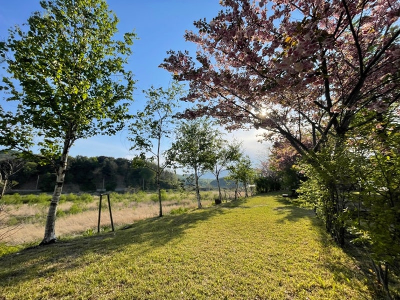 강원도 고성 송정마을 수목화 오토캠핑장