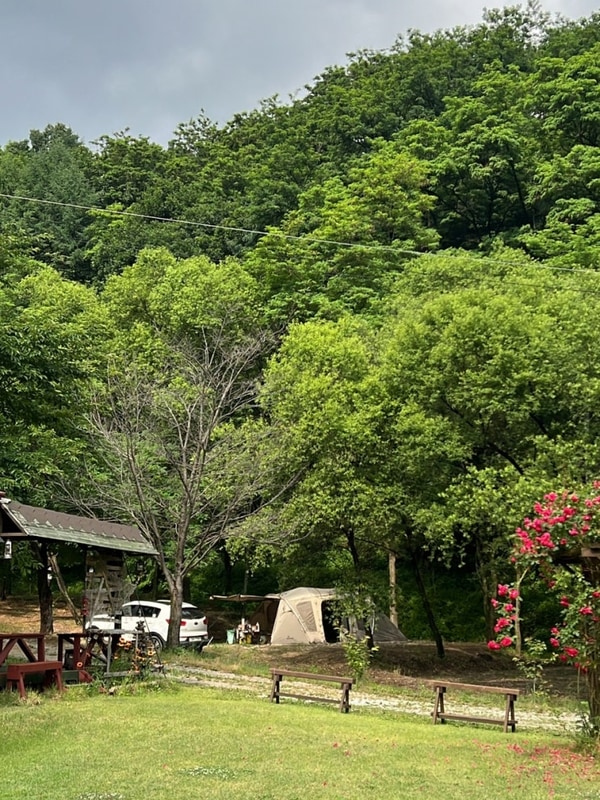 경북 봉화 캠핑장 명당 추천 “숲속 캠핑장”