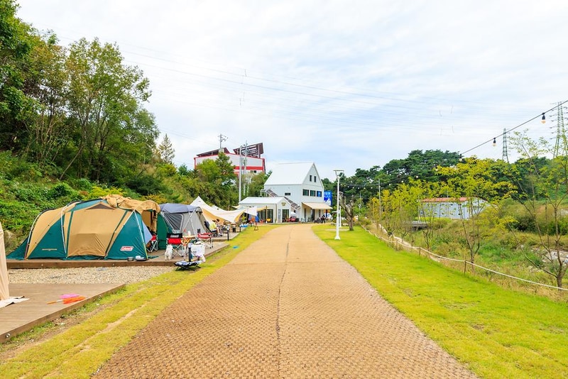 캠핑에 바나나 시설 사진 18