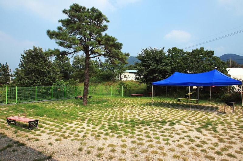 영천 솔롱고 글램핑 시설 사진 3