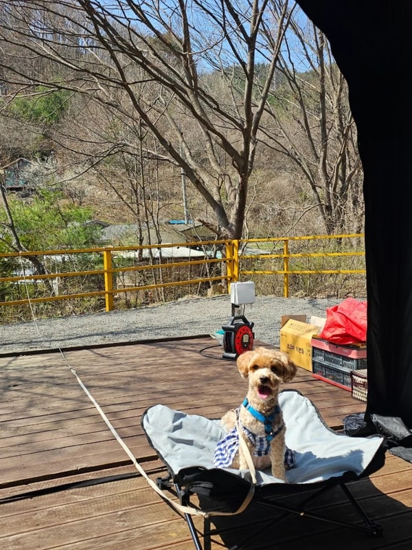 55th 남양주별빛캠핑장