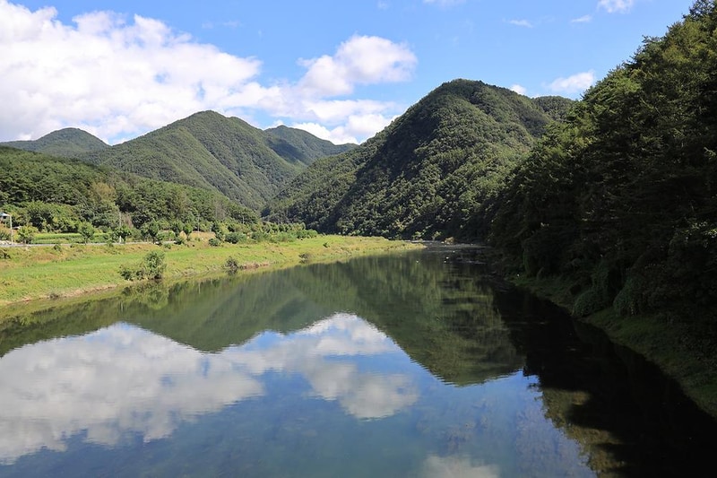 다 그린 시설 사진 16