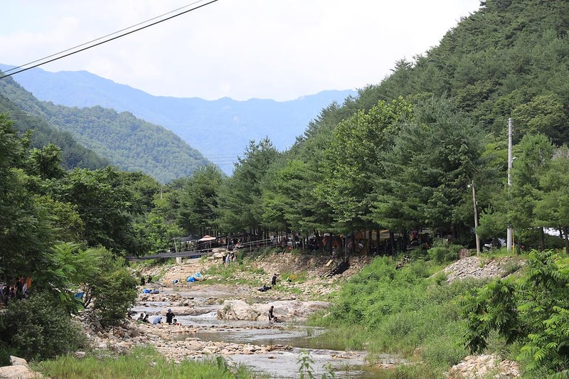 다솜이 야영장 시설 사진 1