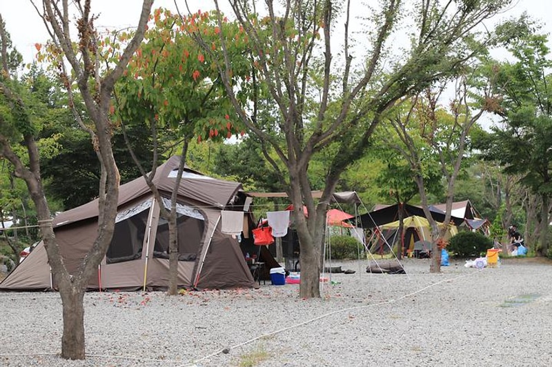 나린오토캠핑장 대표 사진