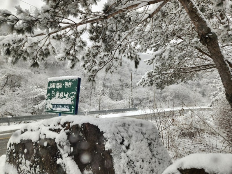 강원도 영월 근교 겨울 캠핑 더좋은날n캠핑 추천 설중 캠핑