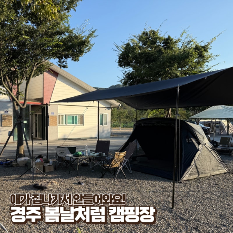 7캠핑일기] 애가 집나가서 안들어와요! 경주 봄날처럼 캠핑장