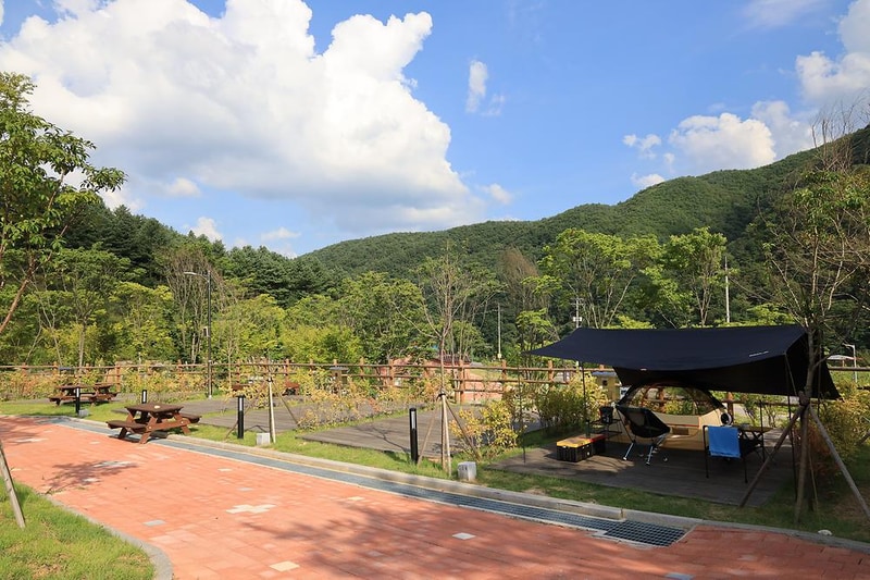 홍천강 자라바위 오토캠핑장 시설 사진 1