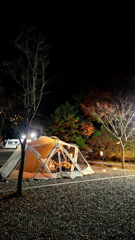 [충남 예산] 예당관광지 국민여가캠핑장(사이트 정보)