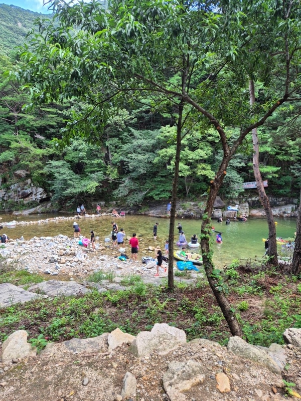 괴산 솔밭캠프 방문기 / 충북 쌍곡계곡 평상있는 곳