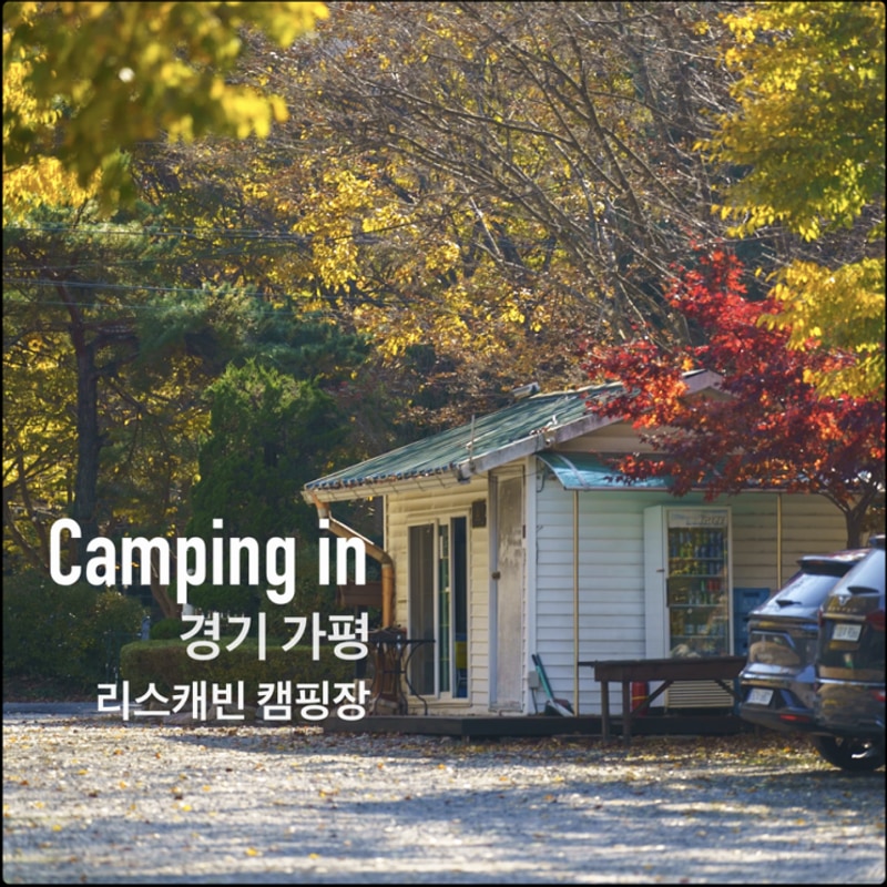 단풍이 참 좋았던 가평 캠핑장 [리스캐빈 캠핑장] 자리는 현장...