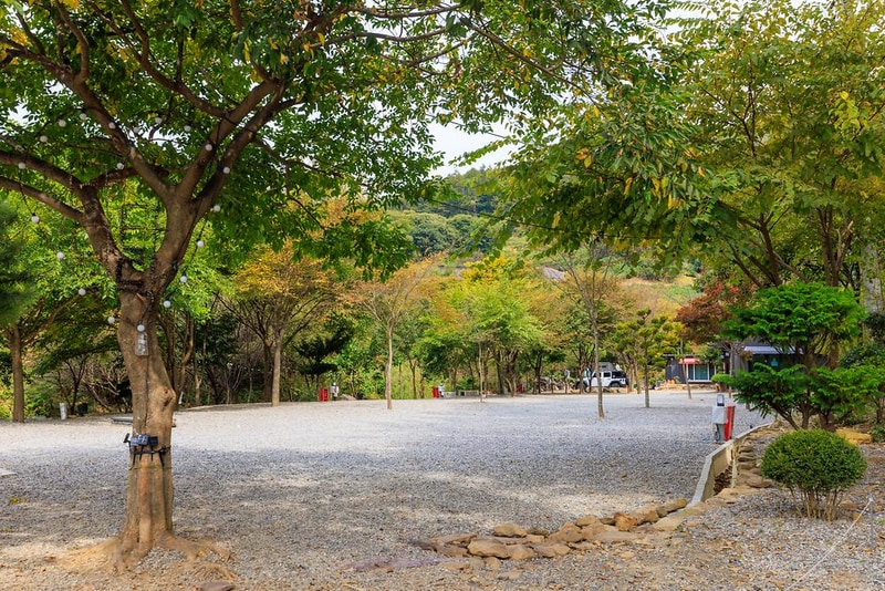 타닥타닥캠핑장 시설 사진 17
