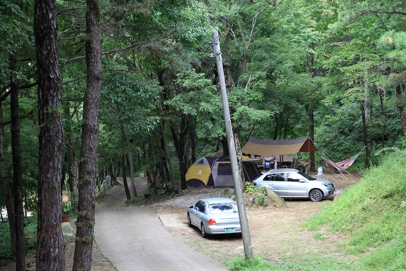 와룡자연휴양림 자동차야영장 시설 사진 7