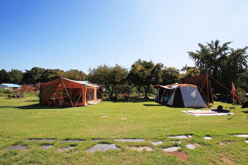 진경원민박캠핑장 시설 사진 2