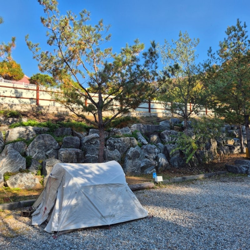 용인 소풍 캠핑장