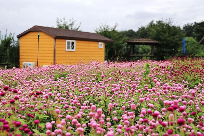 이천농업테마공원 국민여가캠핑장 시설 사진 16