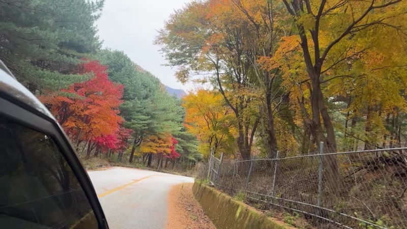 [캠핑]연천 아미힐캠핑장 A6/전곡 아씨 마늘보쌈(내돈내산)