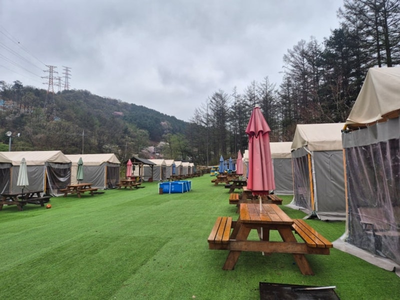 텐트 없이도 OK!! 당일치기 코알라 캠핑장!!