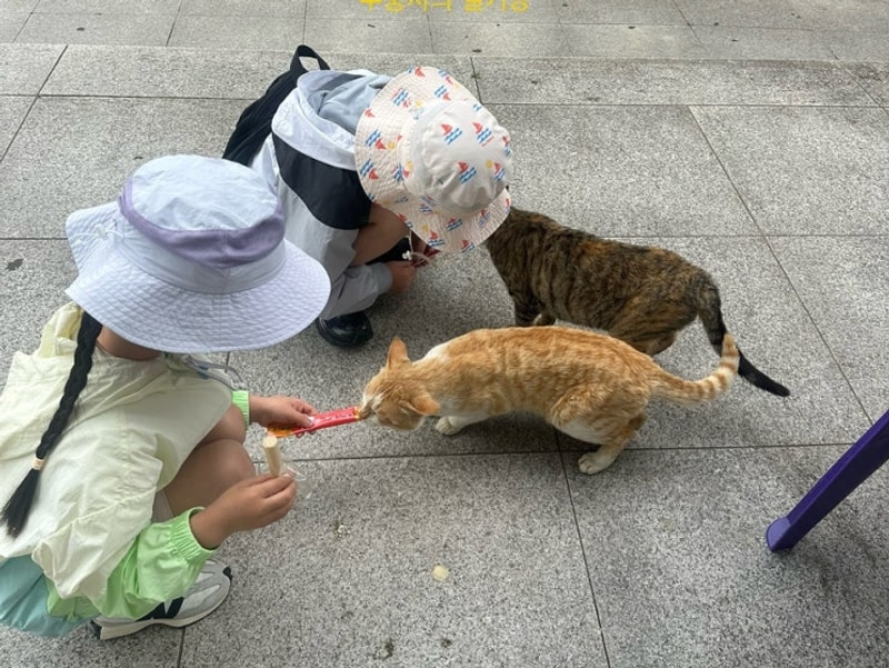 #75 고창 선운산국민여가캠핑장