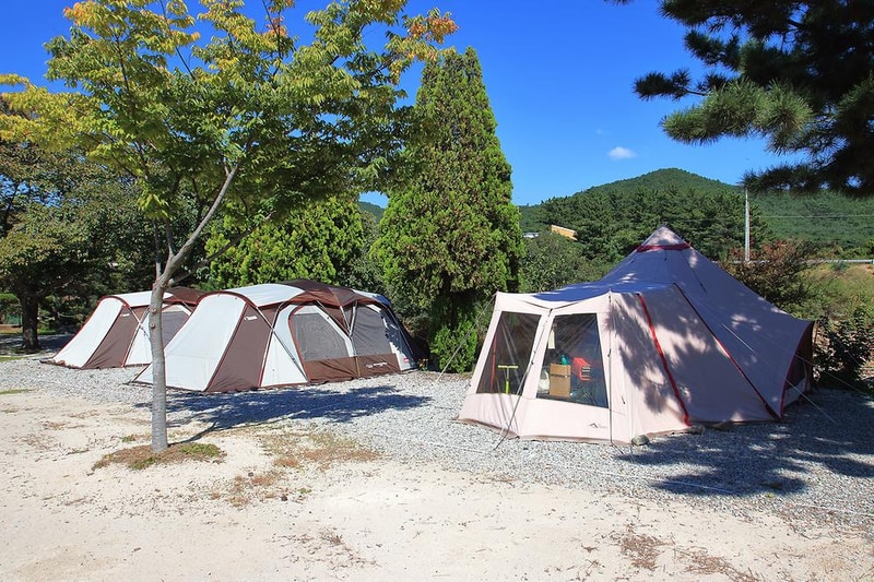 늘푸른캠핑장 시설 사진 3