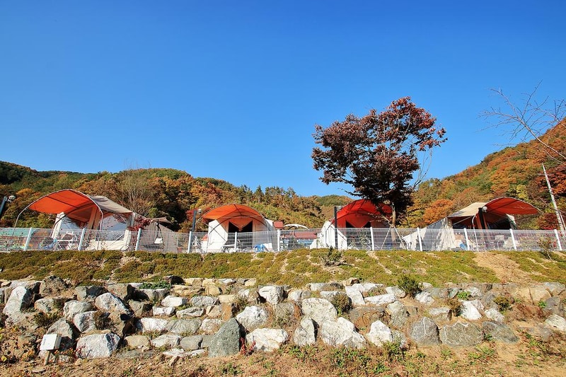 화니캠핑앤글램핑 시설 사진 10