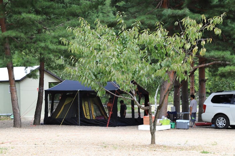 삼척엘림캠핑장 시설 사진 24