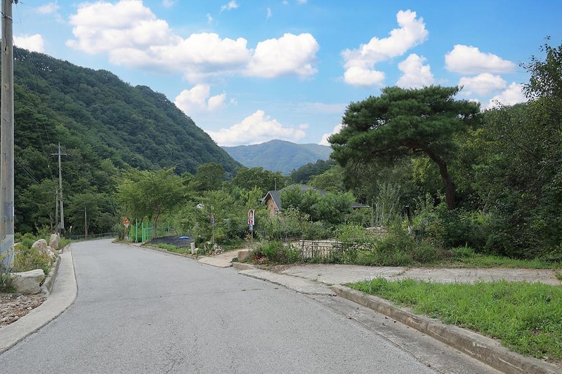 모란골관광농원 시설 사진 5