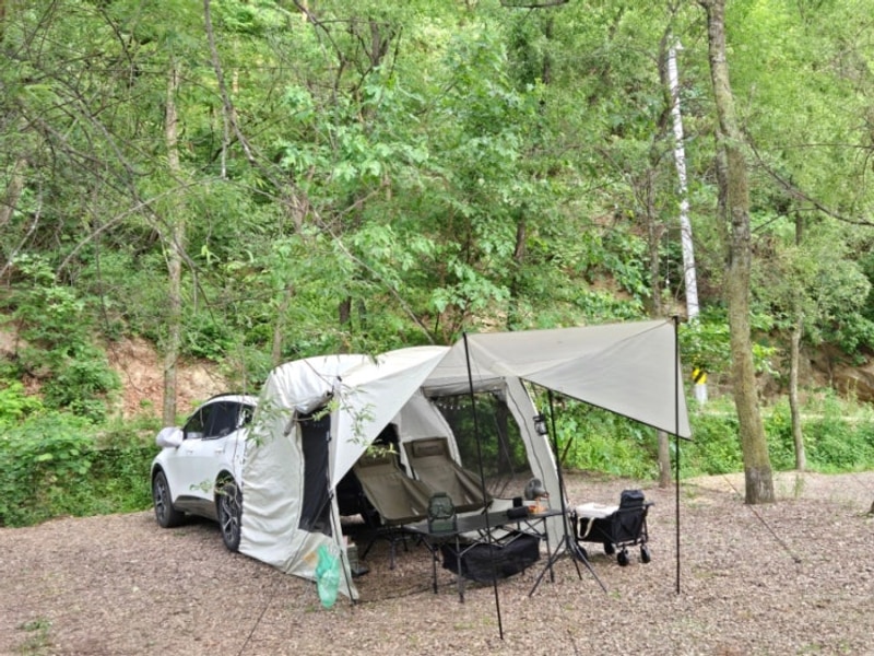 [봉화 숲속 캠핑장] 경북 차박/오토캠핑 추천! 숲 속에서...