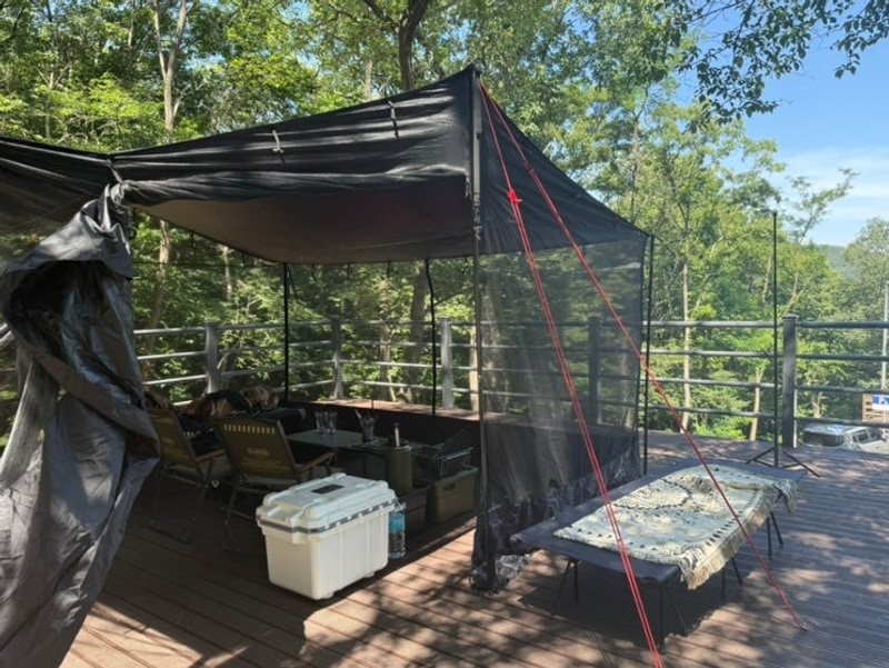 대전 캠핑장 성북동숲속야영장 여름 나무그늘 상세후기