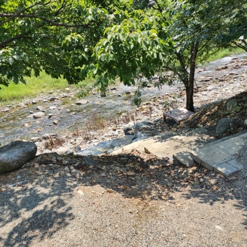 여름엔 역시 계곡캠핑 양양 애견동반 양양골짜구니캠핑장 후기