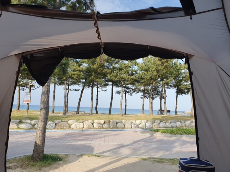 고성 봉수대 오토캠핑장 바다 뷰 명당자리