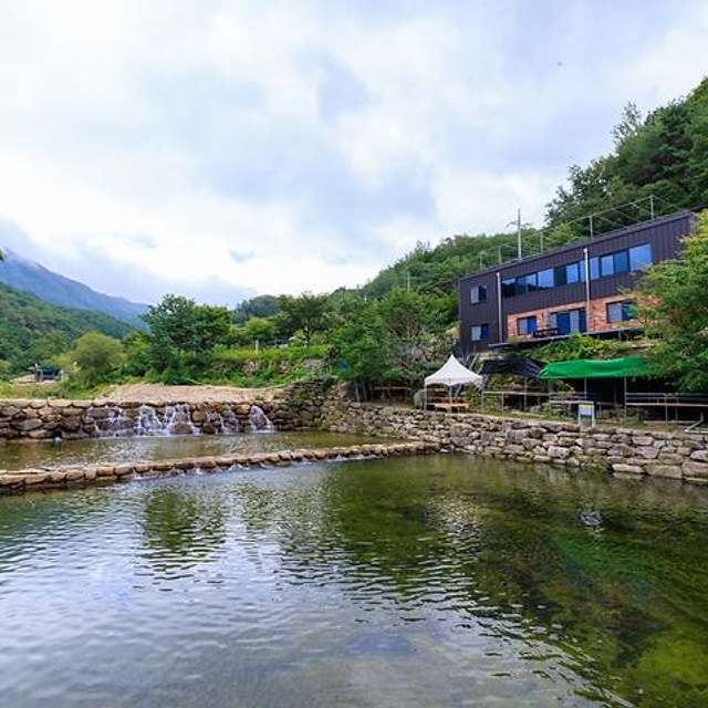 군위 솔밭야영장