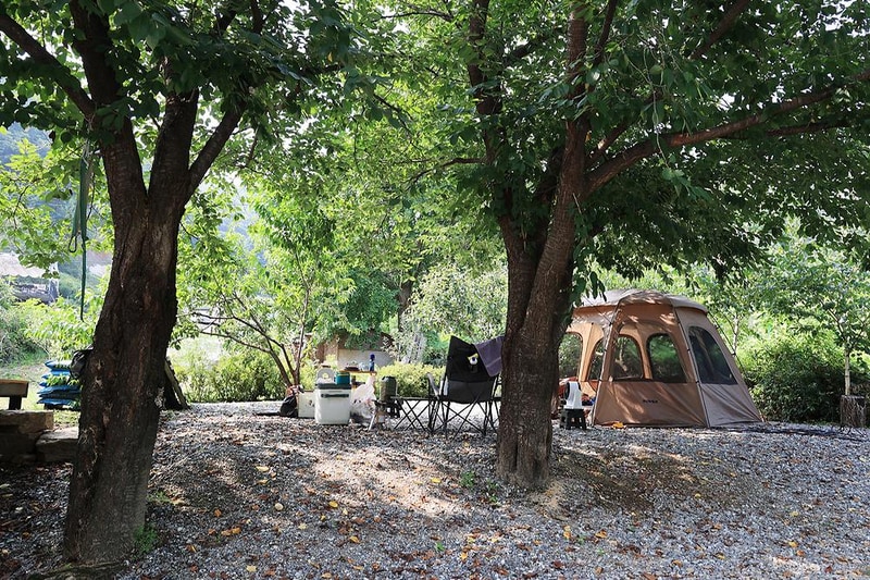 초리풍경 시설 사진 2