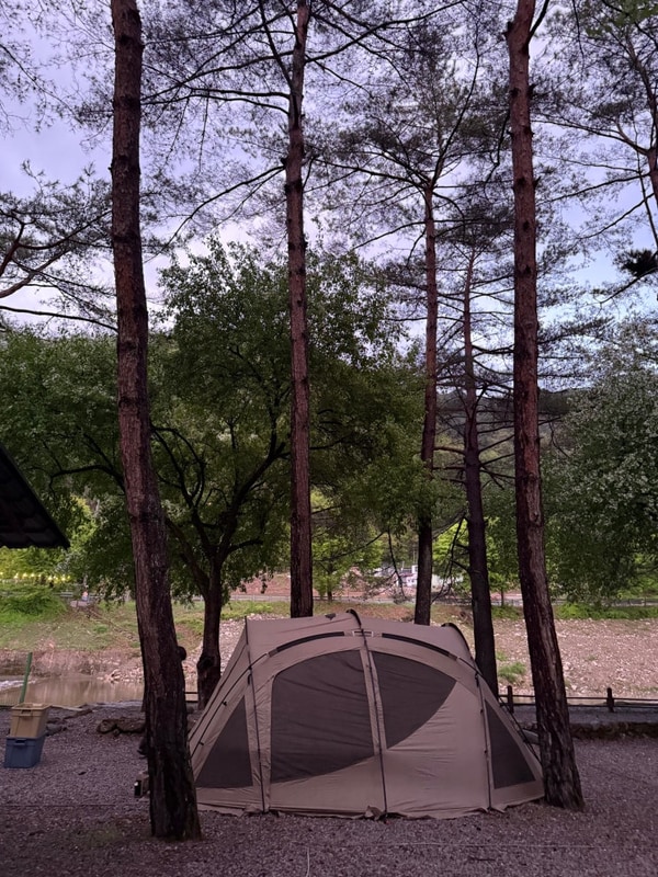 #15 열다섯번째 캠핑 :: 영월 내리계곡 솔밭캠핑장/ 계곡캠핑장...