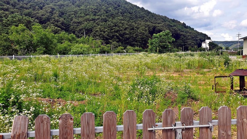 천안 디디글램핑 시설 사진 2