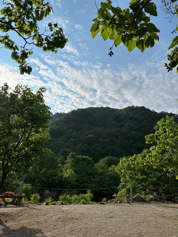 캠핑하기, 강아지 동반 캠핑장, 양양 캠핑장