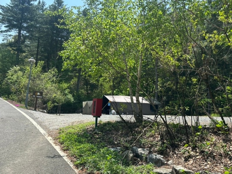 양평다목적캠핑장 2박3일 -1일차 6명과 함께하는 먹방...