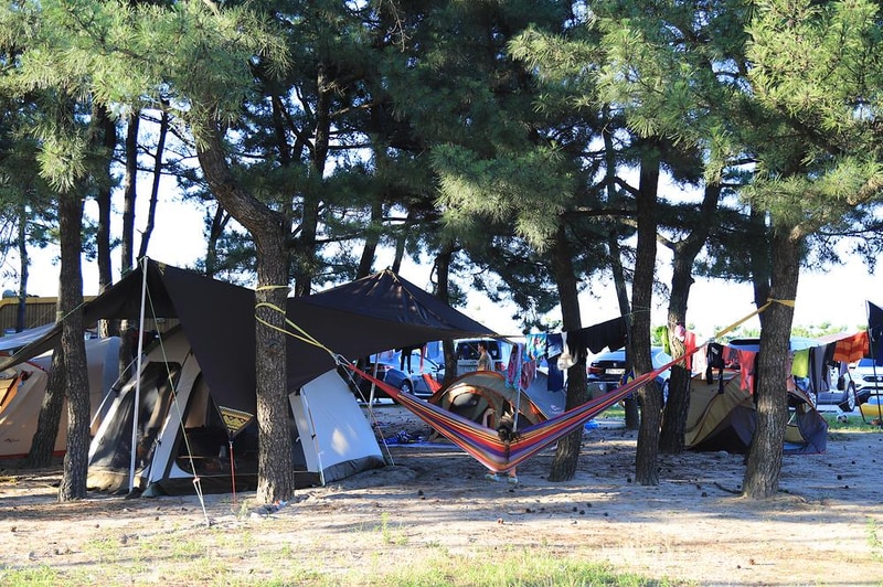 낙산해수욕장 야영장 시설 사진 11