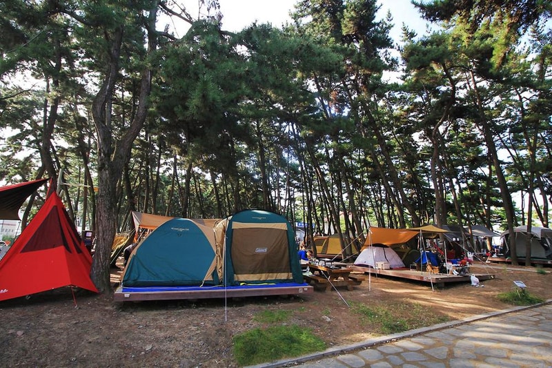 대천해수욕장 야영장 시설 사진 9