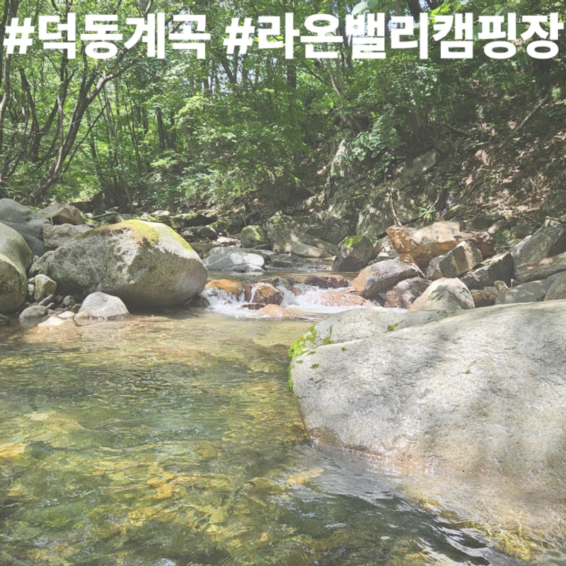 제천 덕동계곡 상류에 위치한 라온밸리 캠핑장 후기