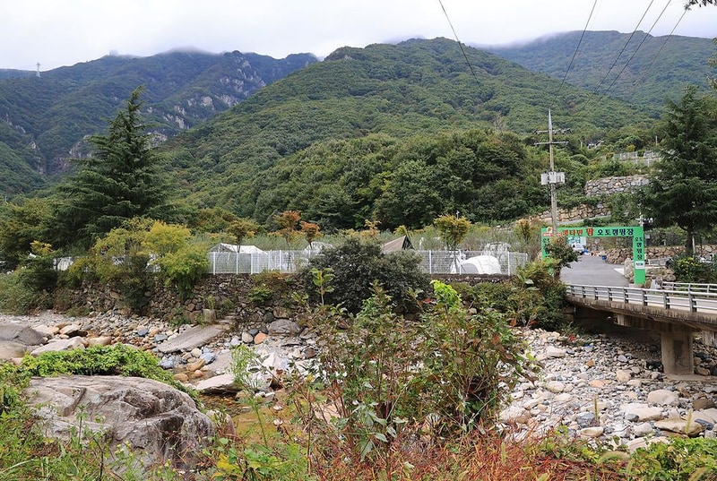 비타민 팜 오토캠핑장 시설 사진 9